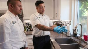 plumbers inspecting sink