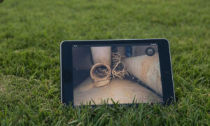 Monitor showing tree roots blocking a clay sewer pipe during a camera inspection.